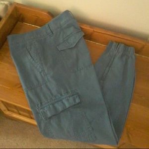 Ann Taylor/ Loft pants